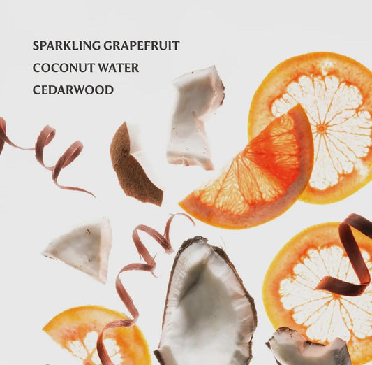 Beach Coco Touchland