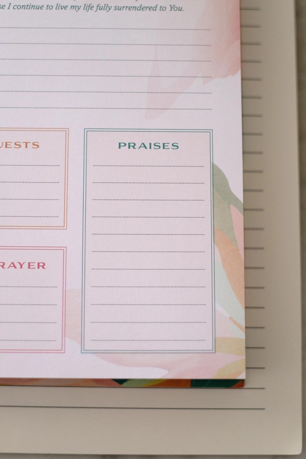 A Year of God's Goodness: A Prayer & Praise Tracker for Woman Book