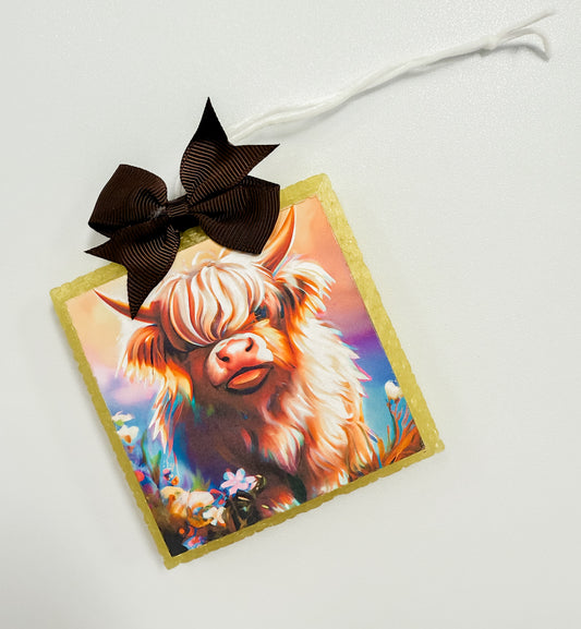 Highlander Cow Freshie
