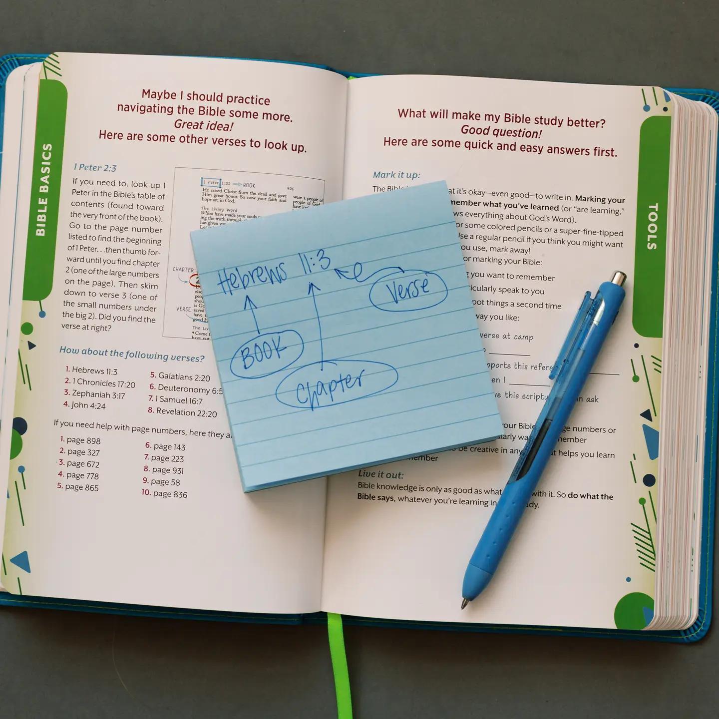 Know Your Bible: NLV Bible For Kids